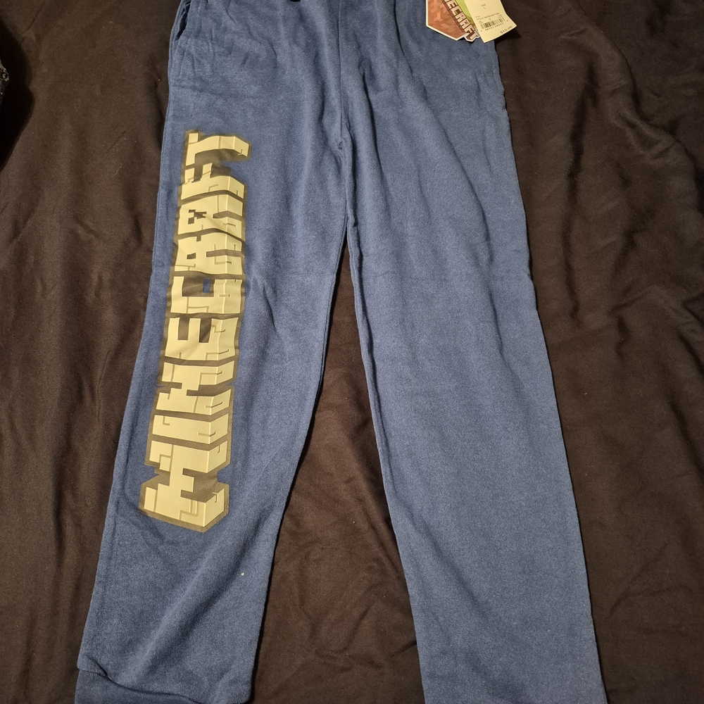 Minecraft Blue Pajama Pants